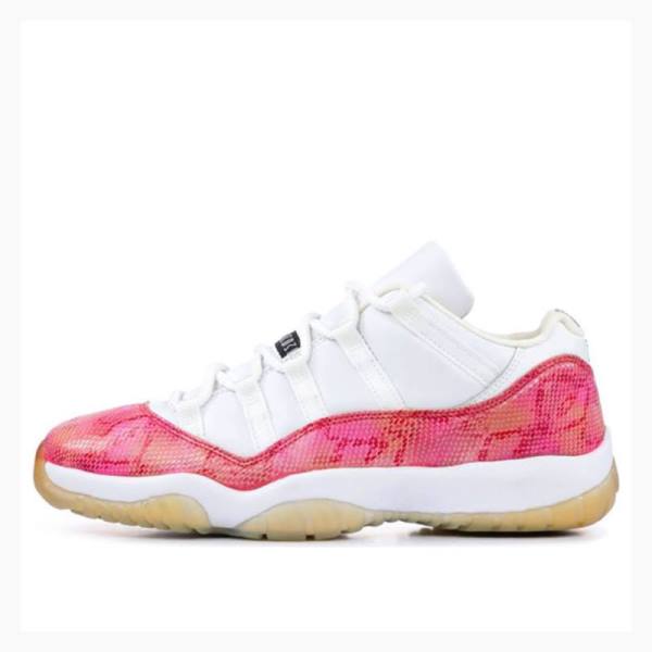 Air Jordan 11 Nike Retro Low \'Snakeskin\' Tênis Feminino Branco Rosa | JD-240CP